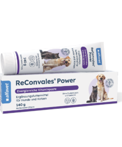 ReConvales Power 140 g
