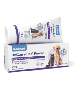 ReConvales Power 70 g