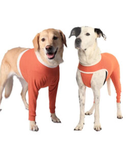 CopperBody - Front & Hind Legs