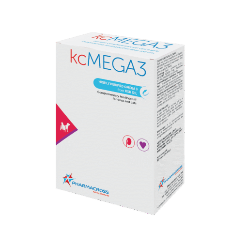 kcMEGA3