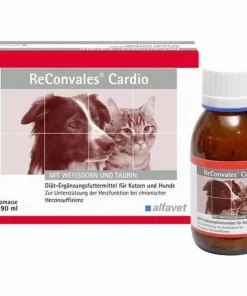 ReConvales Cardio