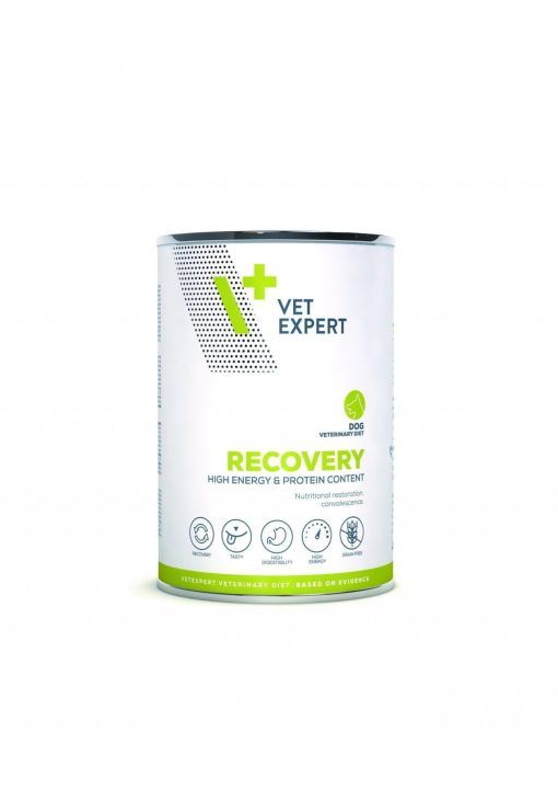 Recovery Dog