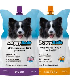 DoggyRade 500ml