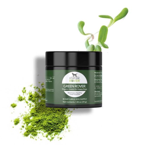 Green Rover - slika 3