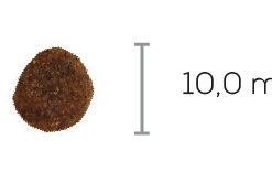 HYPOALLERGENIC INSECT SB briketi - velikost