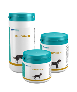 MULTIVITAL H ALL