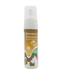 Nutriderm Šampon s PEA v obliki pene