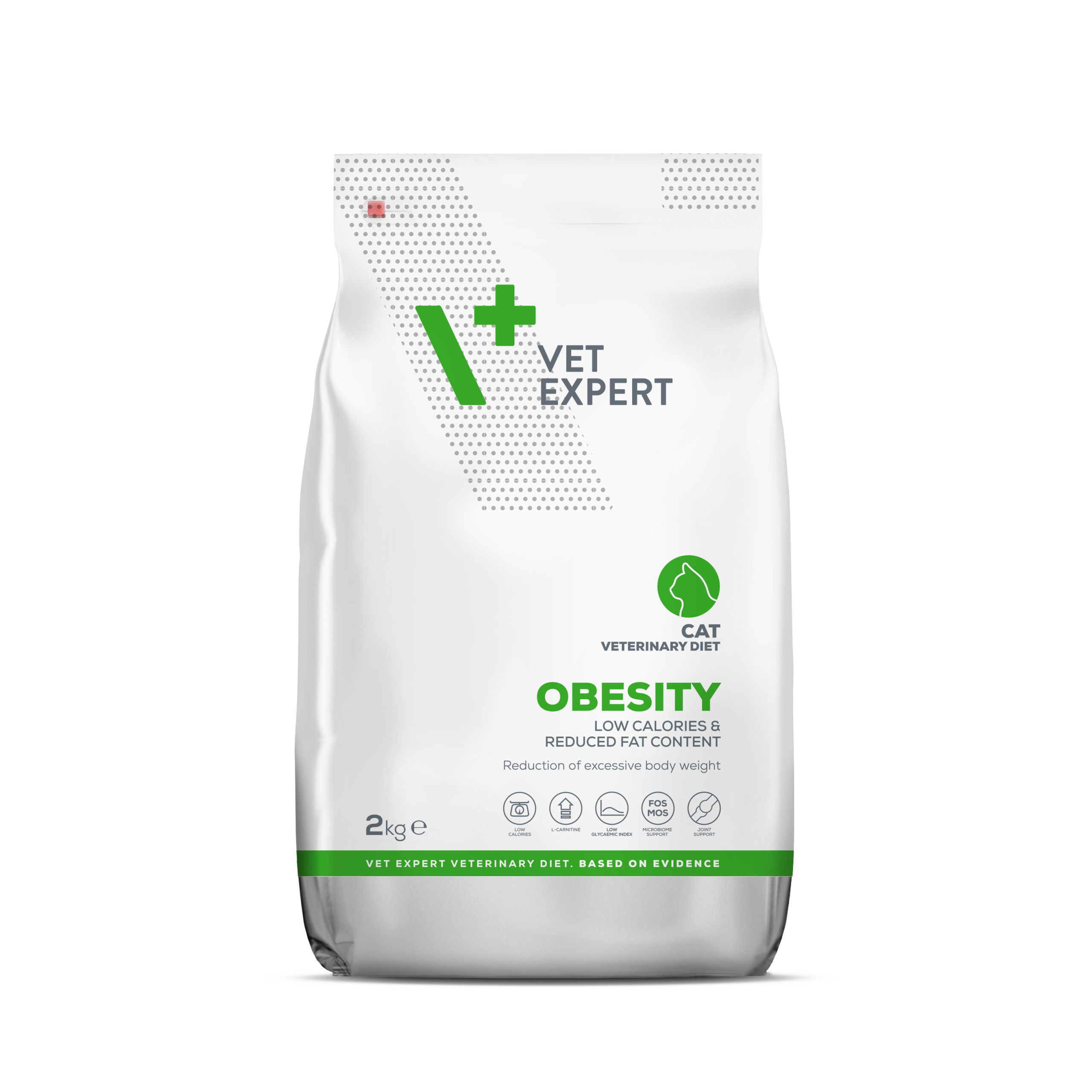 Obesity cat 2 kg