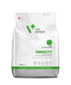 Obesity cat 400 g