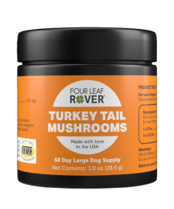 Turkey Tail Mushrooms