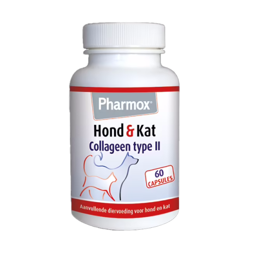 UC-II kolagen