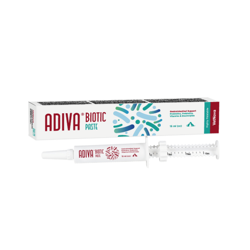 Adiva Biotic Pasta