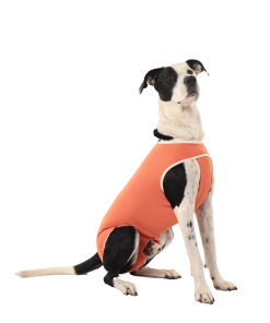 Copper body Castration