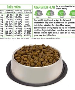 Fresh Turkey Salmon Puppy Junior - Puran in losos zadaj