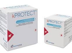 kPROTECT
