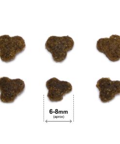 Original Adult Salmon & Rice - Losos & Riž briketi