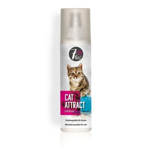 Cat Attract