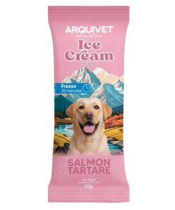 Arquivet Ice Cream- Lososov tatar