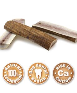 Jelenov rog - polovica L 2