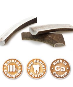 Jelenov rog - polovica M 2