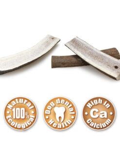 Jelenov rog - polovica S 2