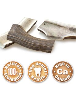 Jelenov rog - polovica XL 2