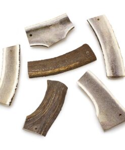 Jelenov rog - polovica XL 3