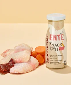 Mačji Smoothie - Raca 2