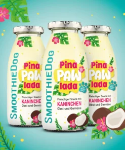 Pasji Smoothie - Pina PawLada 3