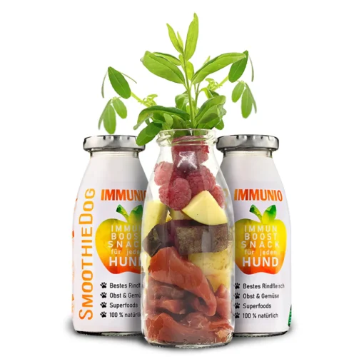 Pasji Smoothie - IMMUNIO 2