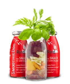 Pasji Smoothie - Govedina 2