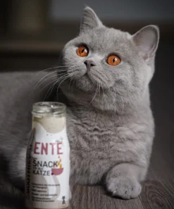 Mačji Smoothie - Raca 3