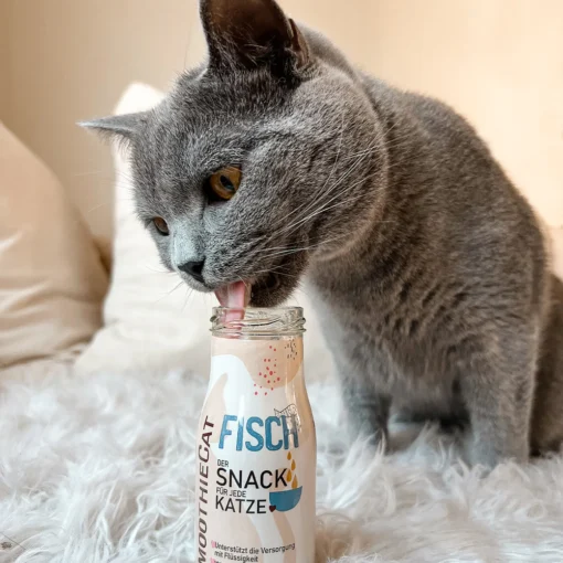 Mačji Smoothie - Riba 3