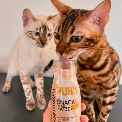 Mačji Smoothie - Piščanec 3