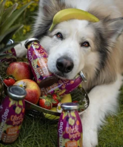 Pasji Smoothie - Sadna košara 3