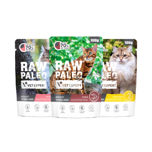 Raw Paleo Adult / Sterilised Cat