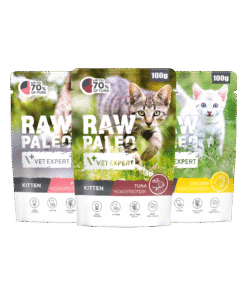 Raw Paleo Kitten