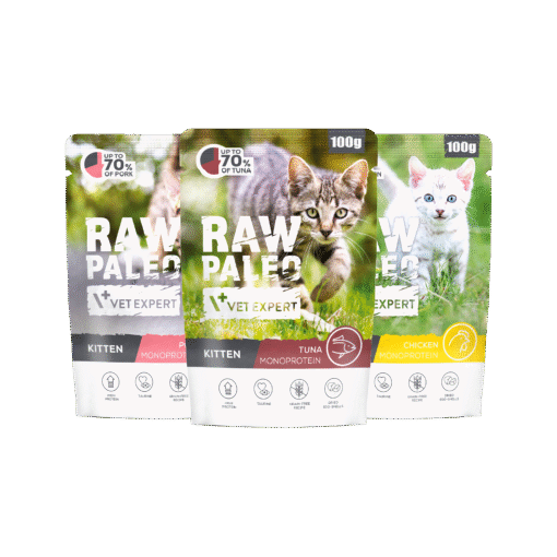 Raw Paleo Kitten
