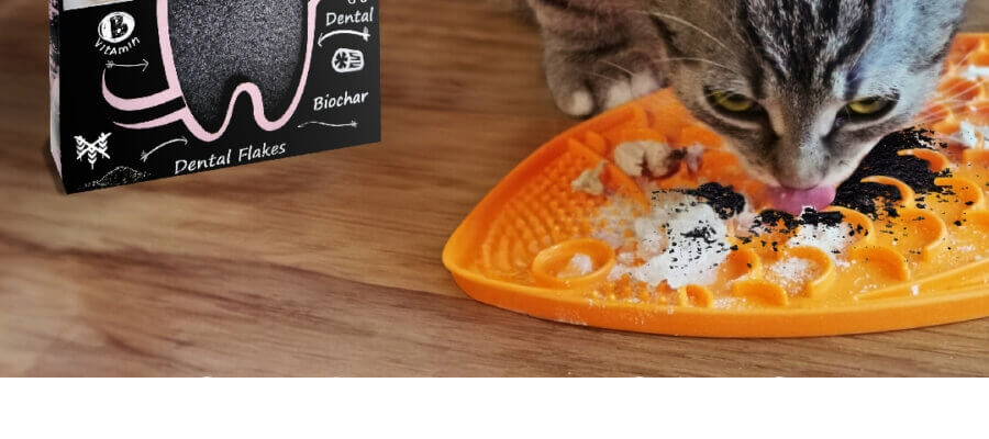 Q-Chefs Charcoal za mačke - slika 3