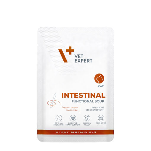 Intestinal Cat Functional Soup