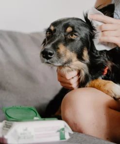 Beco Ear Cleaning Wipes 2