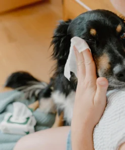 Beco Eye Cleaning Wipes 2