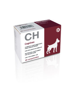 COGNIVAN Neuroprotec