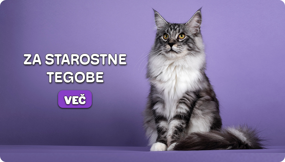 Podpora starejšim živalim