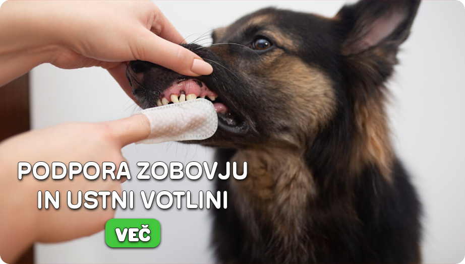 Podpora zobovju in ustni votlini