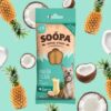 Dental Sticks - Ananas & Kokos