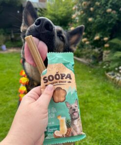 Dental Sticks - Ananas & Kokos 2