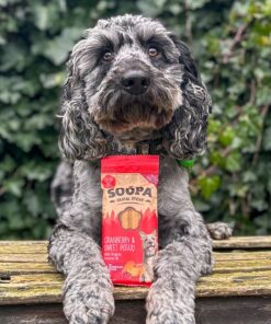 Dental Sticks - Brusnica & Sladki krompir 3