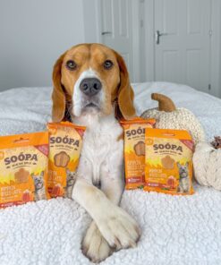 Dental Sticks - Buča & Cimet & Kokosovo mleko 2