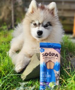 Dental Sticks - Jabolko & Borovnica 2